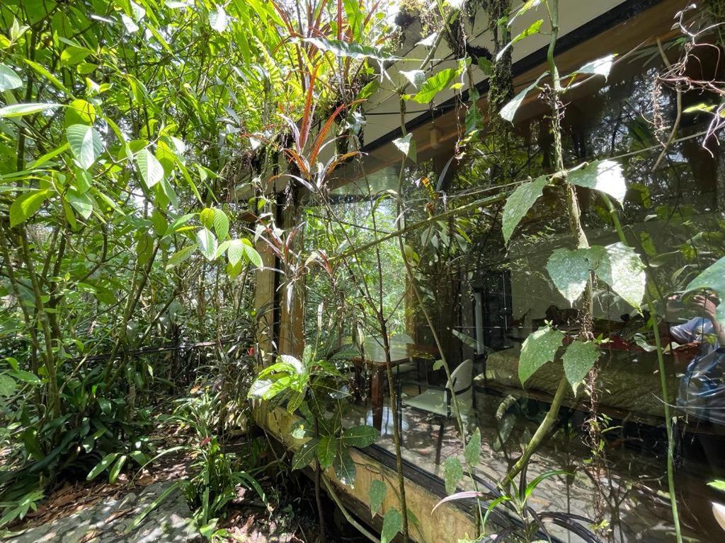 Cantalarana Lodge 민도 외부 사진